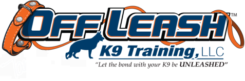 45581360-0-OLK9-Logo-2.png