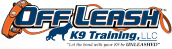 logo-2.png