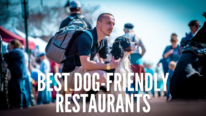 Best Dog-Friendly Restaurants in Chicago