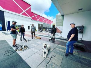 offleash dog trainers at dog friendly stores in chicago