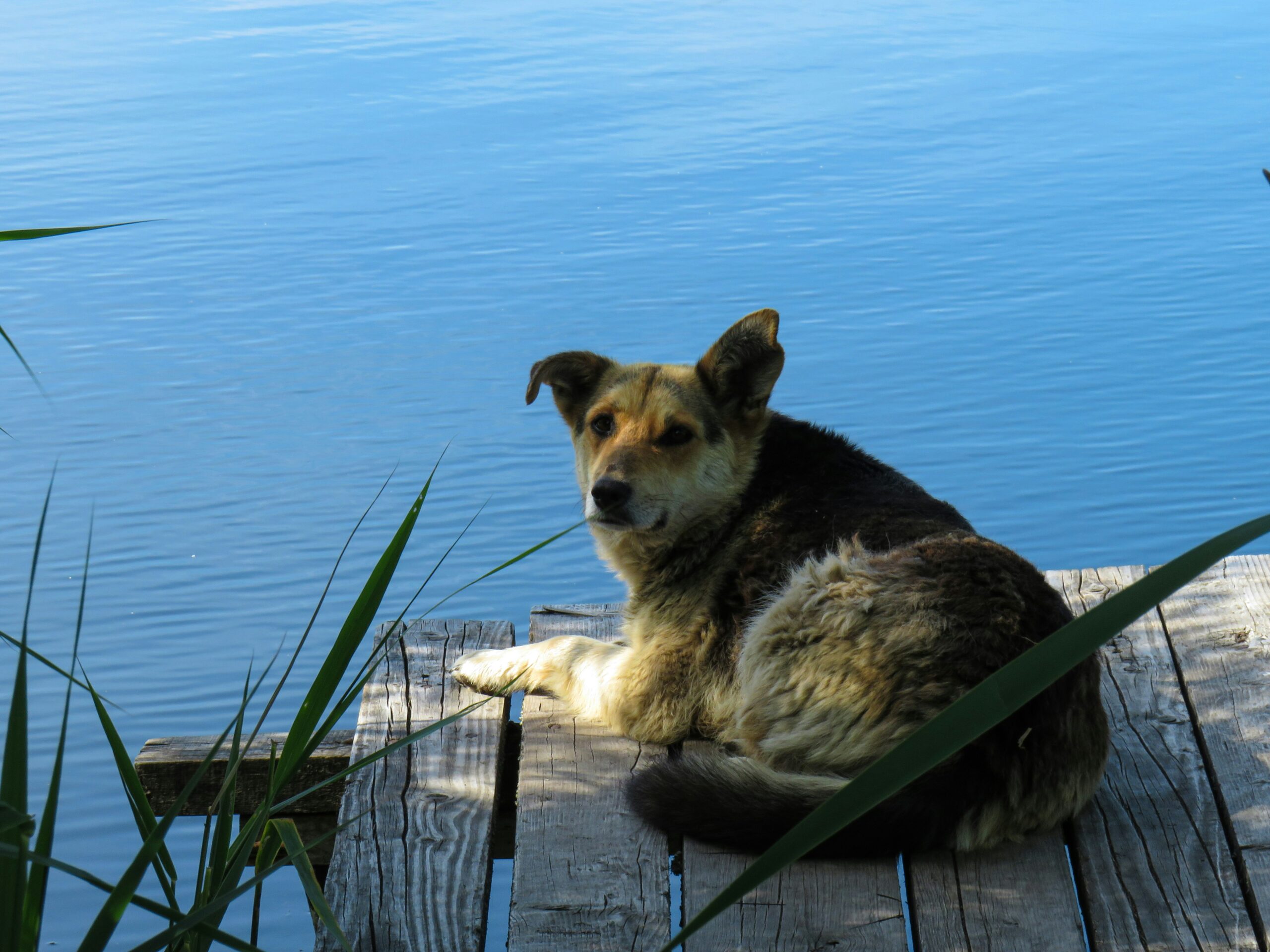 Beat the Heat: Signs of Overheating and How to Prevent It