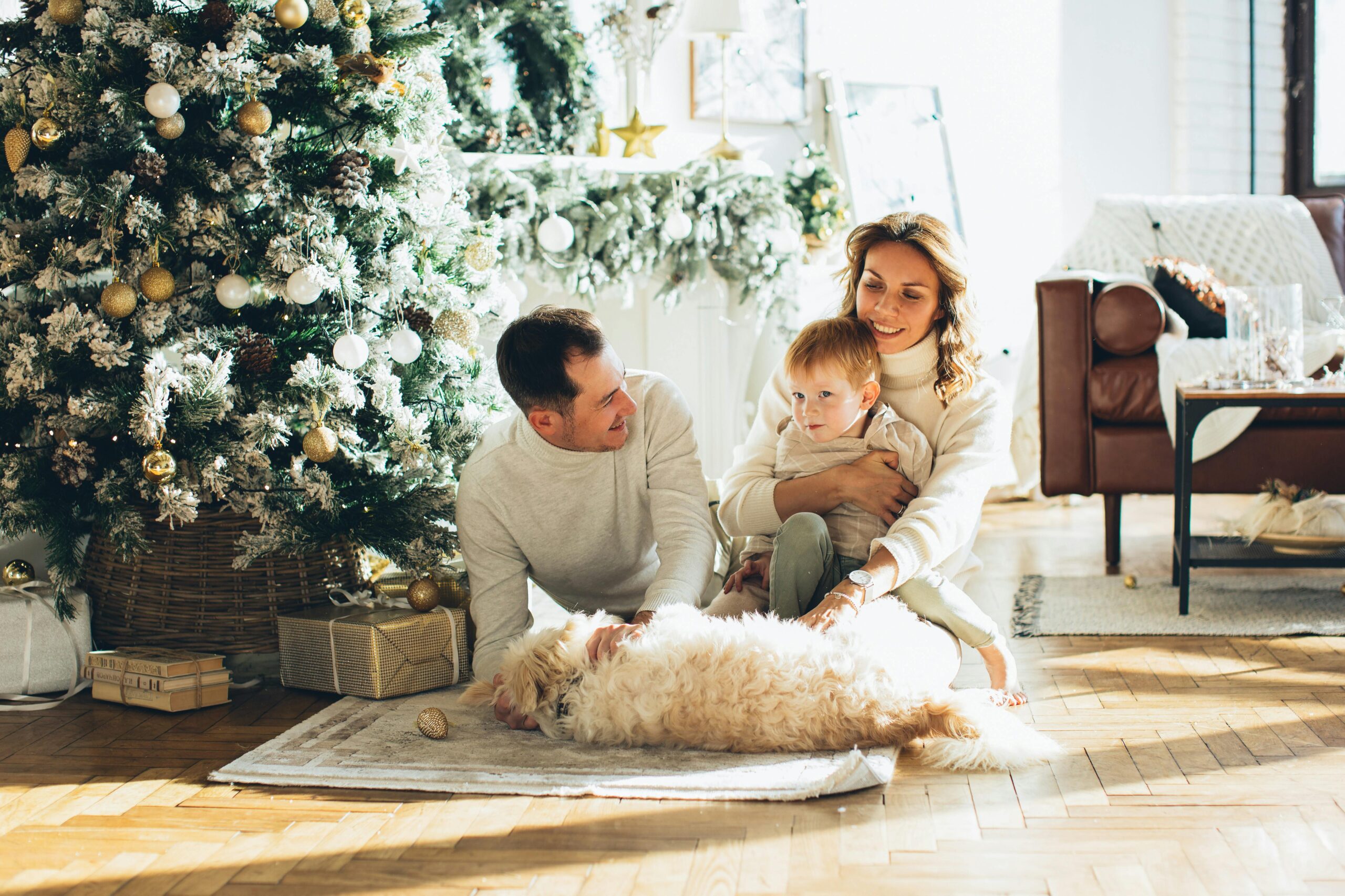 Training Tips for Families With Kids and Dogs