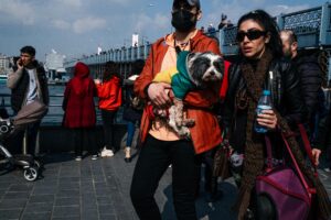 Socialization 101: Proven Confidence Boost for Dogs