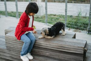 Obedience Training: A Powerful Lifelong Journey