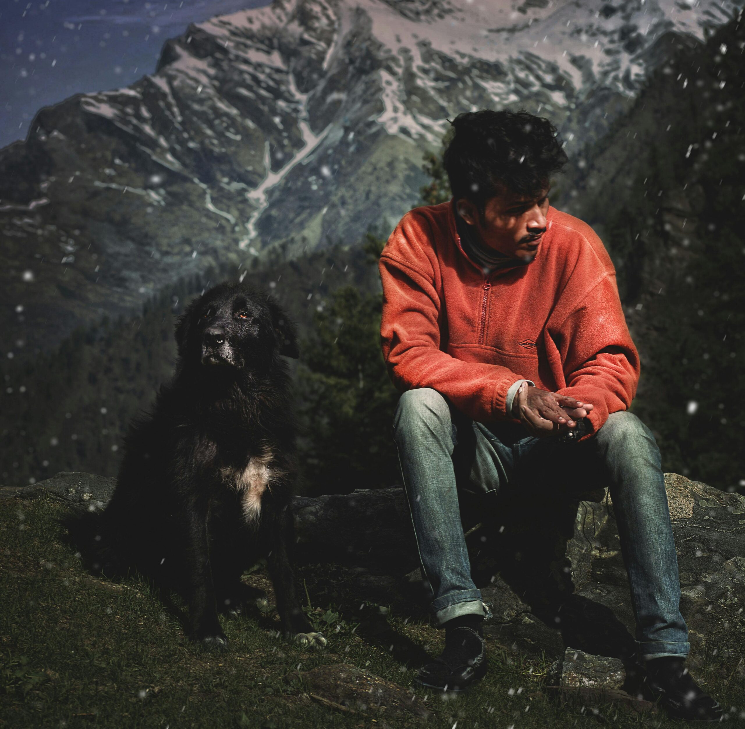 Holiday Season: Amazing Dog Travel Tips Every Owner Needs