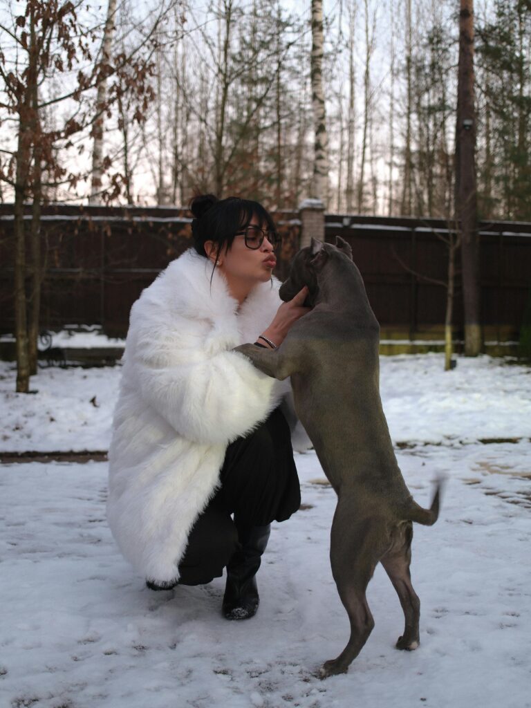 Winter Dog Training: Why Cold Months Are Perfect for Maximum Progress 